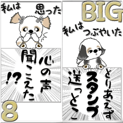 【Big】シーズー犬『心の声』8