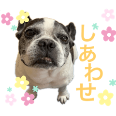 [LINEスタンプ] がくげん4