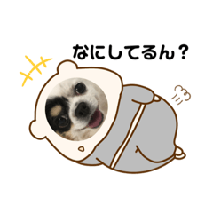 [LINEスタンプ] ぽむりんちゃぴ家 第一弾