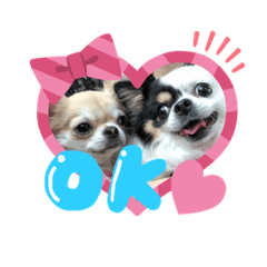 [LINEスタンプ] ぽむりんちゃぴ家 第二弾の画像（メイン）