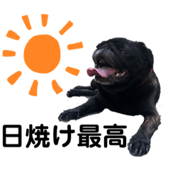 [LINEスタンプ] じわじわセブンさん増