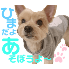 [LINEスタンプ] ティちゃん