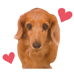 [LINEスタンプ] ぺろぺろアイランド3