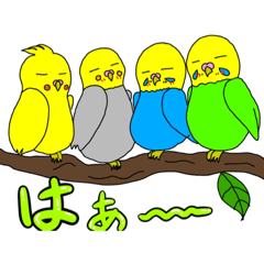 [LINEスタンプ] 手書きインコ❣️