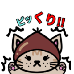 [LINEスタンプ] ダジャレ・死語 日常会話 ねこたち