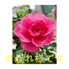 [LINEスタンプ] 愛月と空パート6