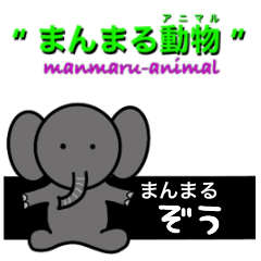 [LINEスタンプ] まんまるぞうのスタンプです。