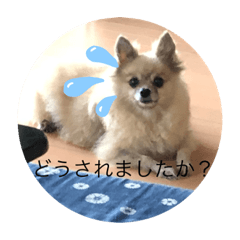 [LINEスタンプ] 今ドキッズTVスタンプ三