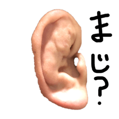 ゆうたの耳