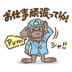 [LINEスタンプ] トイプードル「pum」のオリジナルスタンプ