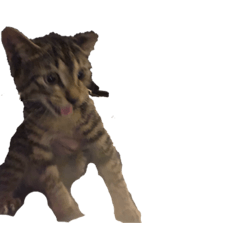 [LINEスタンプ] yebface