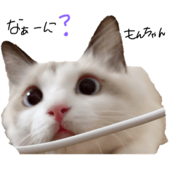 [LINEスタンプ] もんちゃんスタンプ〜