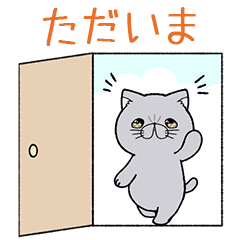 [LINEスタンプ] エキゾチックショートヘア 猫 鈴木