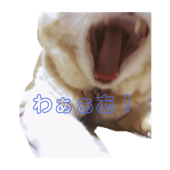 [LINEスタンプ] それゆくジャッキー！