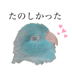 [LINEスタンプ] マメルリハのまめちゃん 2