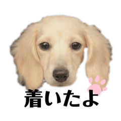 [LINEスタンプ] はなさんでつよ〜〜〜