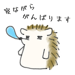 [LINEスタンプ] ハリネズミ師匠のLINEスタンプ