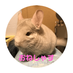 [LINEスタンプ] たんけーさんちのチル2