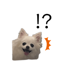 [LINEスタンプ] たらおもきたよ