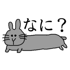 うちのとの