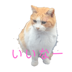 [LINEスタンプ] マイケルの生活