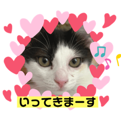 [LINEスタンプ] モアナちゃんの日常スタンプ