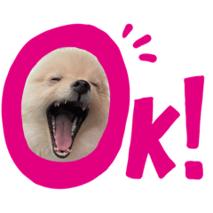 [LINEスタンプ] ぼくぺぺだよ