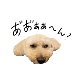 [LINEスタンプ] ワンちゃんランド3