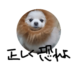 [LINEスタンプ] 新型コロナウィルスに負けないルルとマロン