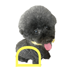 [LINEスタンプ] ワン‼️