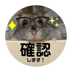 [LINEスタンプ] とっとこ毎日こうしくん