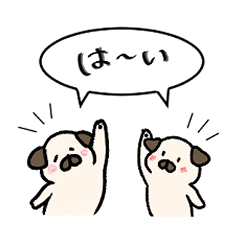 [LINEスタンプ] パグのもっちりとぱっちり