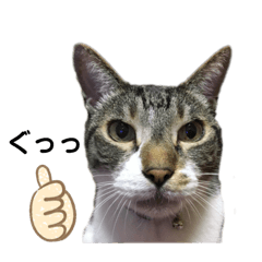 [LINEスタンプ] ボクは大ちゃん 2