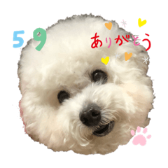 [LINEスタンプ] ごくうです。ささみが好きです