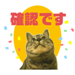 [LINEスタンプ] ちろるさん❸