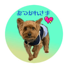 [LINEスタンプ] みんなのりっくん！