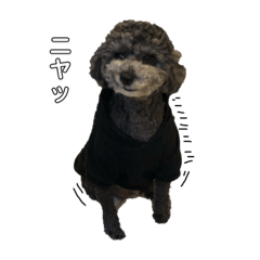 [LINEスタンプ] harry (part2)