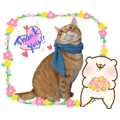 [LINEスタンプ] Ginger Tabby Cat Brothers 10