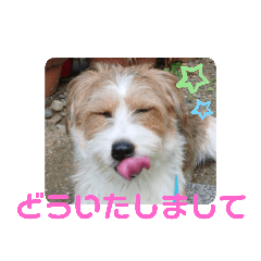 [LINEスタンプ] love☆ジャック5