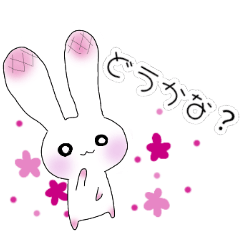 [LINEスタンプ] 白いうさぎのもちうさ