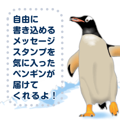[LINEスタンプ] 18種のペンギンがキミのメッセージを届けるの画像（メイン）