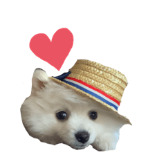 [LINEスタンプ] ぷあちゃんスタンプ2