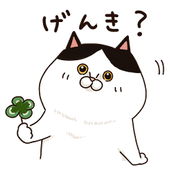 [LINEスタンプ] ハチワレ猫の日常会話【ウチノコイチバン】