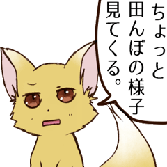 [LINEスタンプ] てんきつね お天気すたんぷ