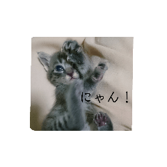 [LINEスタンプ] 海たんと千秋くん