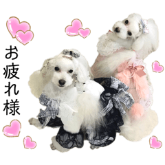 [LINEスタンプ] 姫ファミリー part3