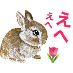 [LINEスタンプ] リアルな動物さん3