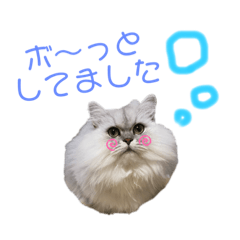 [LINEスタンプ] むむむむむーさん