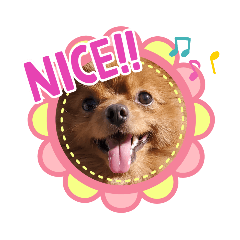 [LINEスタンプ] ♡ポメマルのモカくん♡4
