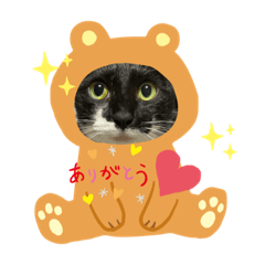 [LINEスタンプ] ひろにゃんのスタンプ♡